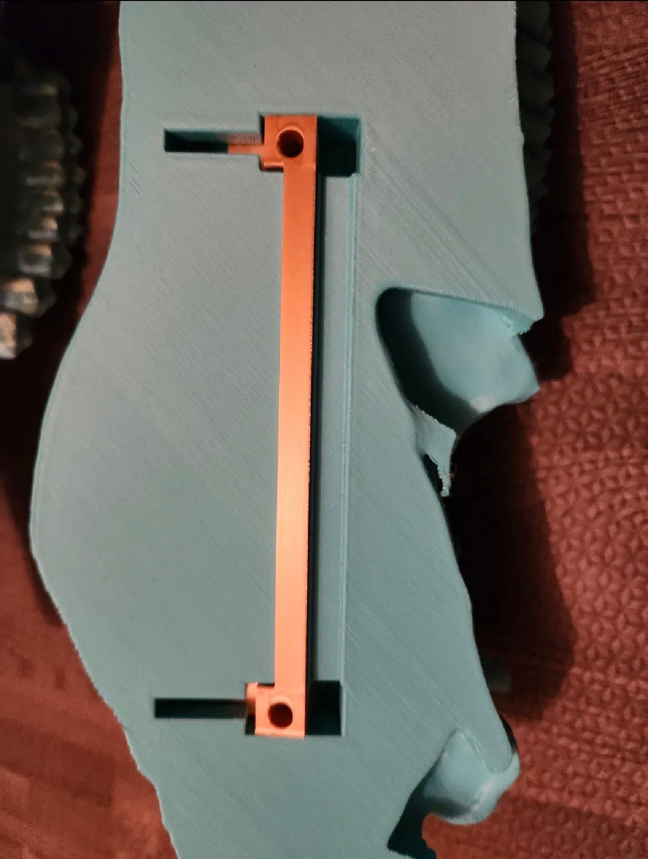 Whitetail- Mule Deer half skulls