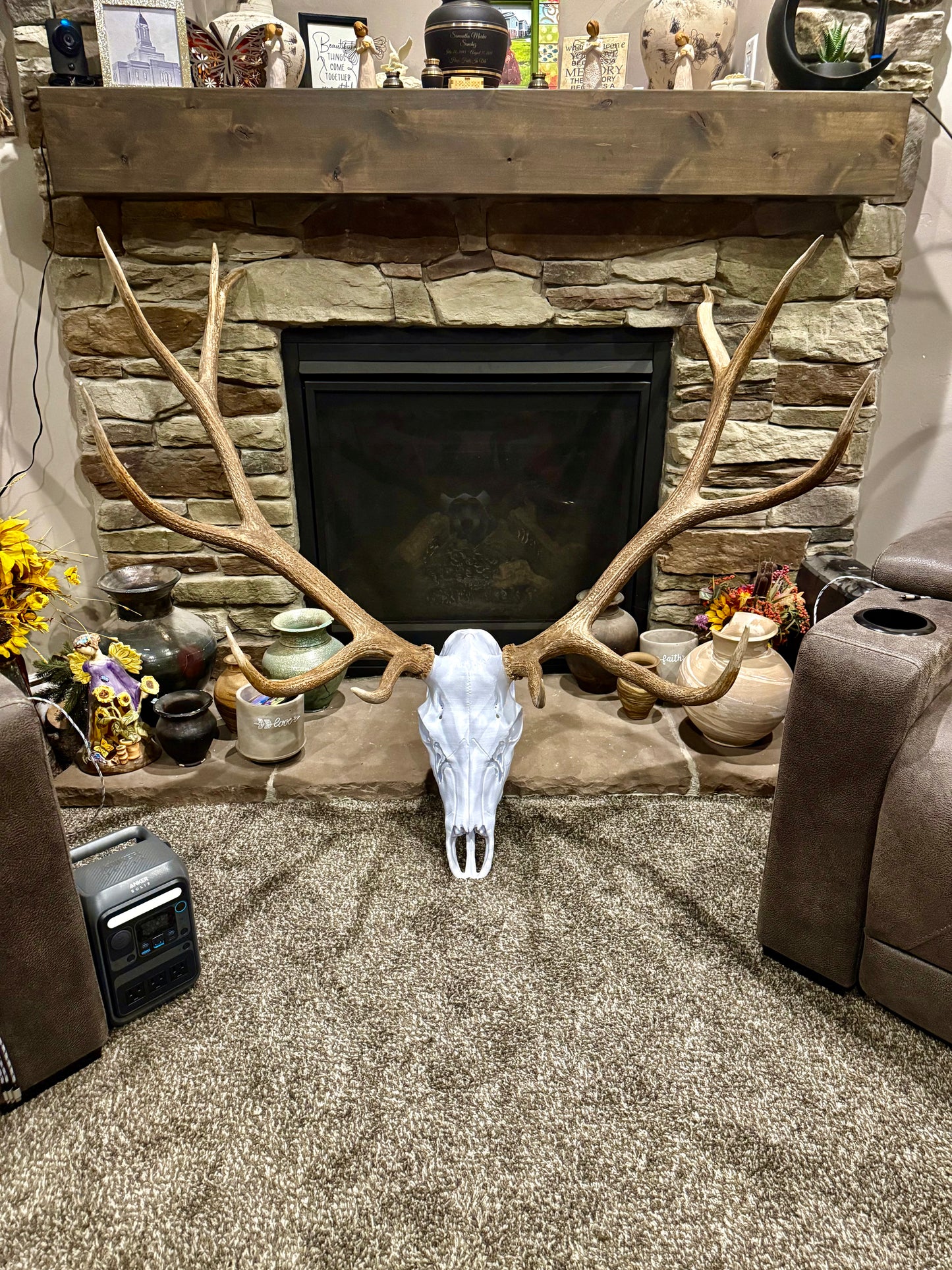 New elk European mount