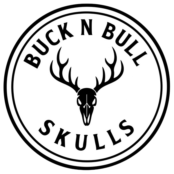 BUCK N BULL SKULLS