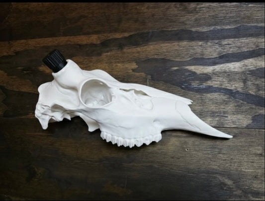 Whitetail- Mule Deer half skulls