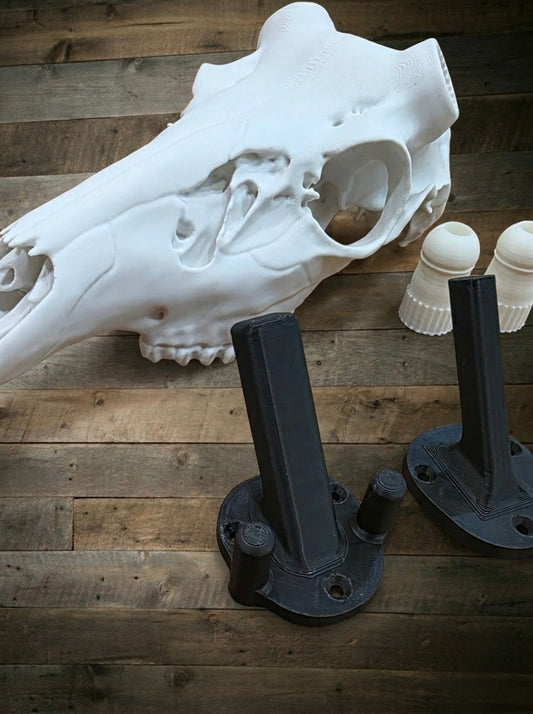 All new euro skull hooks