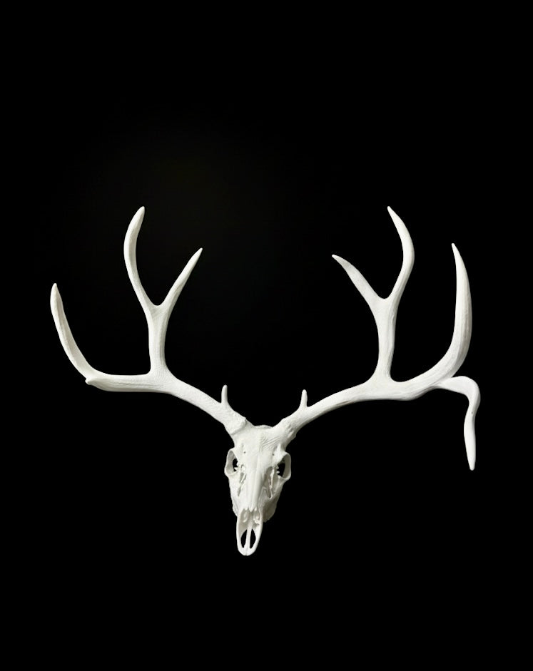 The Alton mini Muley