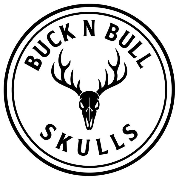 BUCK N BULL SKULLS